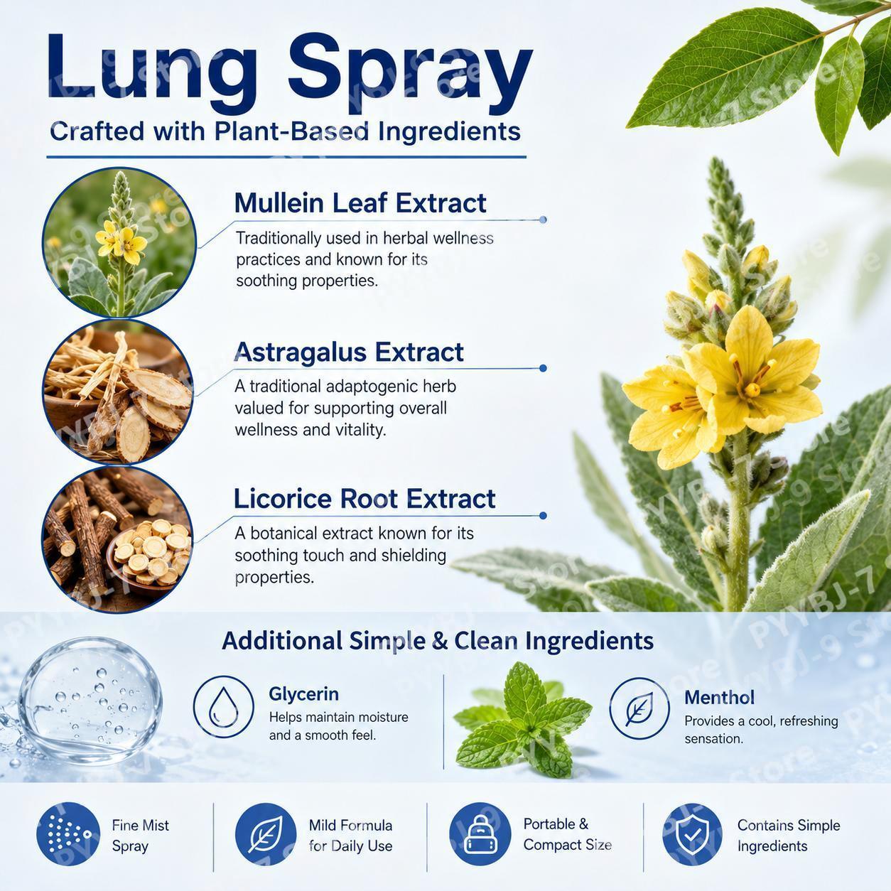 สเปรย์สมุนไพรบำรุงปอด 100 มล.  - Licorice Root Extract บทวิจารณ์และราคา